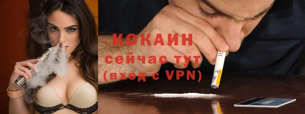PSILOCYBIN Белокуриха