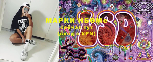 PSILOCYBIN Белокуриха