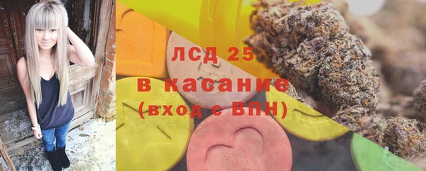 PSILOCYBIN Белокуриха