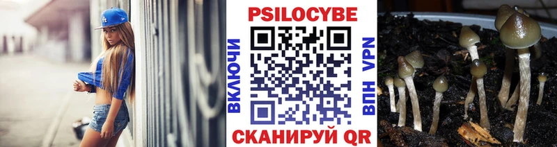 mega ТОР Обь Галлюциногенные грибы MAGIC MUSHROOMS